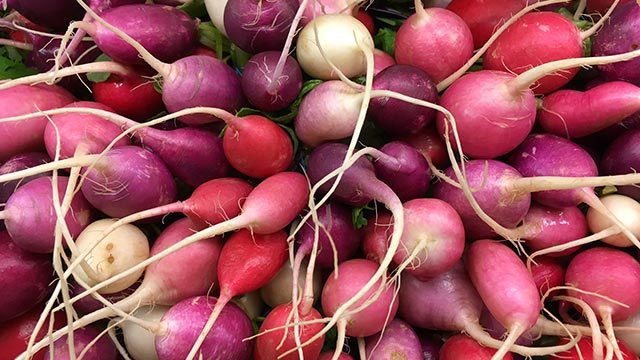 A bunch of radishes