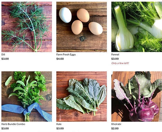 Screenshot of produce options available through Hope Farms in Houston.