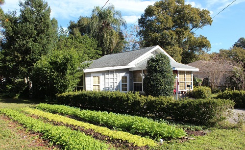 A small farmlette is seen in front of a home in Orlando.