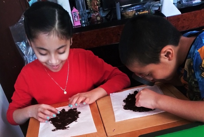 Students doing an experiment with soil