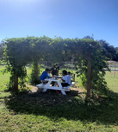 Shaded by the ivy-covered pergola students learn about natural sciences.