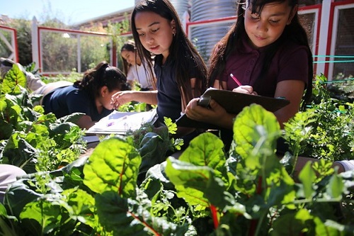 Two girls take notes on the plant life out in the garden