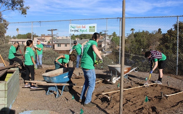 Volunteers work hard in the garden, clearing dirt with shovels.