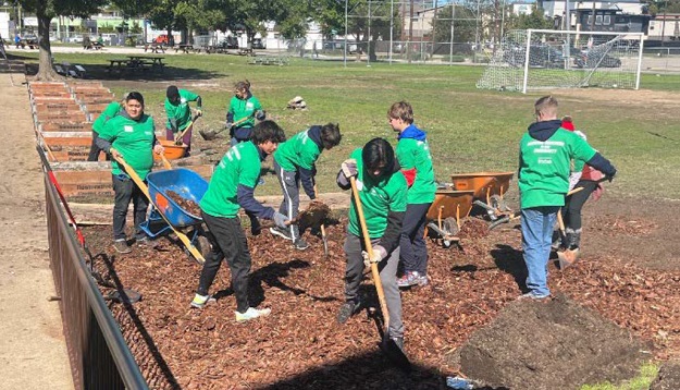 High school boys volunteer in the garden, moving mulch with rakes and wheelbarrows.